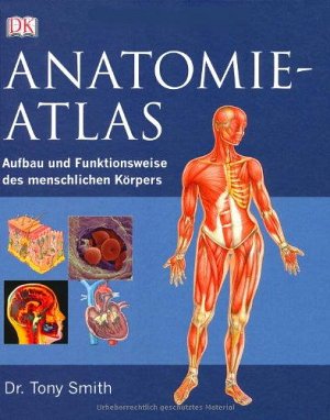 Anatomie-Atlas
