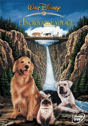 L'Incroyable voyage [DVD]