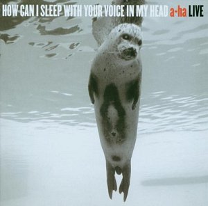 How Can I Sleep With Your Voice In My Head...