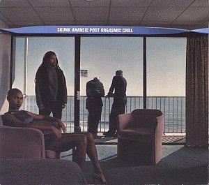 Post Orgasmic Chill [CD]