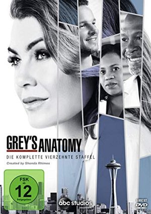 Grey's Anatomy - Die jungen Ärzte Staffel 14 [DVD]