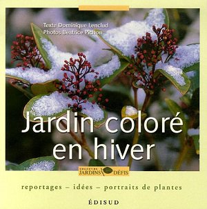 Jardin coloré en hiver