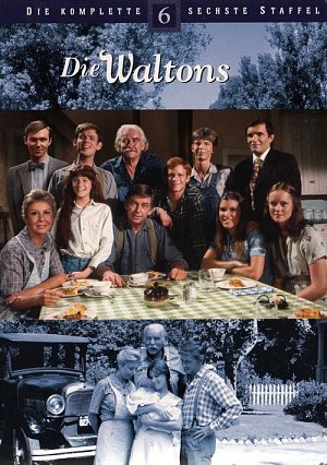 Die Waltons - Staffel 6 [DVD]