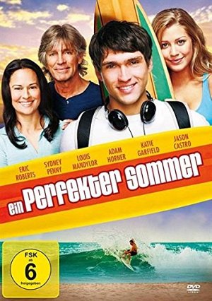 Ein perfekter Sommer [DVD]