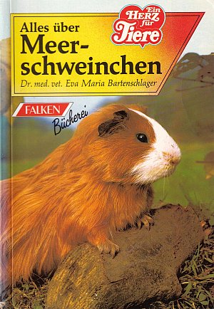 Alles über Meerschweinchen