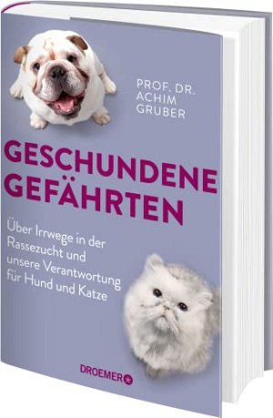 Geschundene Gefährten: