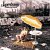 Crisis? What Crisis? [CD]