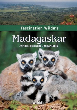 Faszination Wildnis - Madagaskar - Afrikas exotische Inselwildnis [DVD]