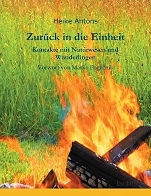 Zurück in die Einheit - Kontakte mit Naturwesen und Wunderlingen