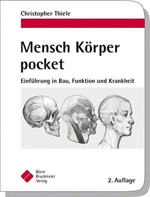 Mensch Körper