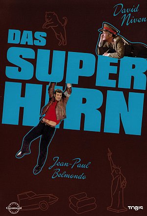 Das Superhirn  [DVD]