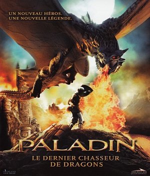 Paladin - Le dernier chasseur de Dragons [Blu-ray]