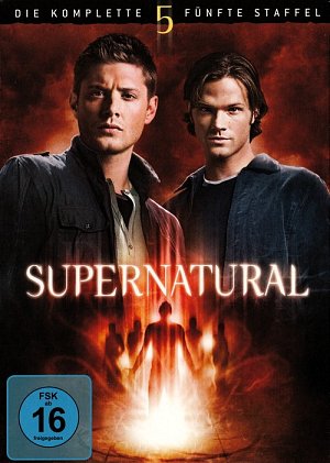 Supernatural - Staffel 5 [DVD]