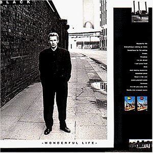 Wonderful Life [CD]