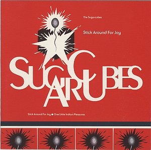 Stick around for joy [CD]