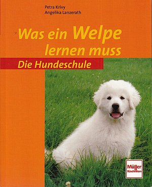 Was ein Welpe lernen muss - Die Hundeschule