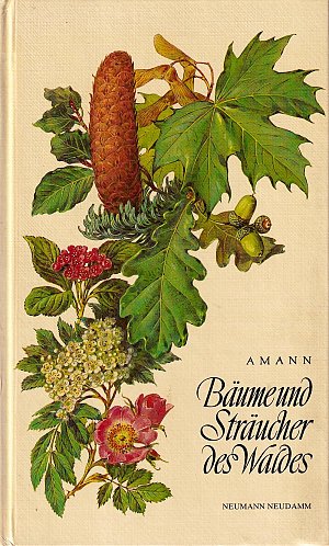 Bäume und Sträucher des Waldes