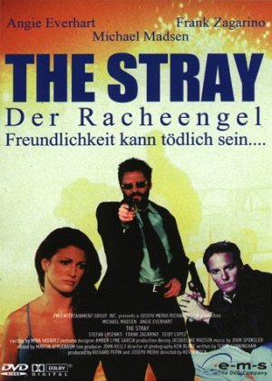 The Stray - Der Racheengel [DVD]