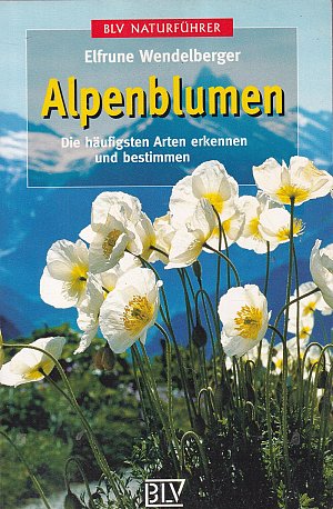 Alpenblumen - Die häufigsten Arten erkennen und bestimmen