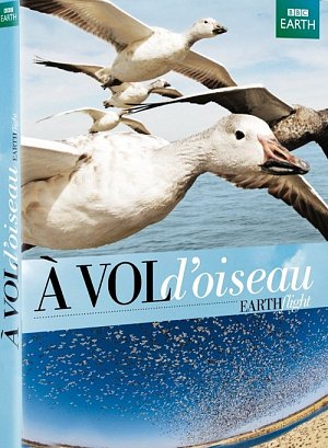 À vol d'oiseau [DVD]