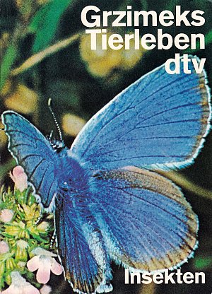Tierleben - Insekten
