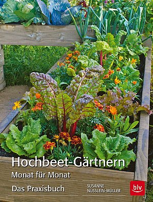 Hochbeet-Gärtnern Monat für Monat