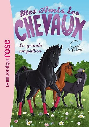 Mes amis les chevaux 2 - La grande compétition