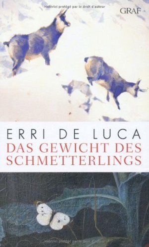 Das Gewicht des Schmetterlings