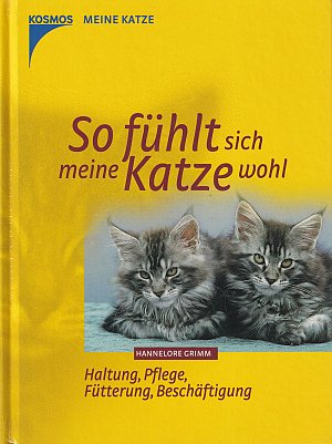 So fühlt sich meine Katze wohl
