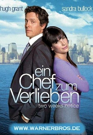 Ein Chef zum Verlieben [DVD]