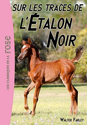 L'Étalon Noir 7 - Sur les traces de l'Étalon Noir