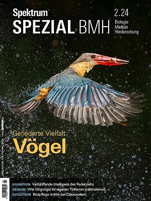 Vögel: Gefiederte Vielfalt