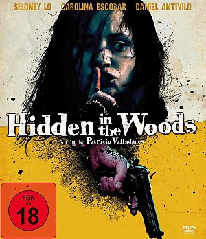 Hidden in the woods [Blu-ray]