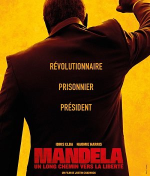 Mandela - Un long chemin vers la liberté [Blu-ray]