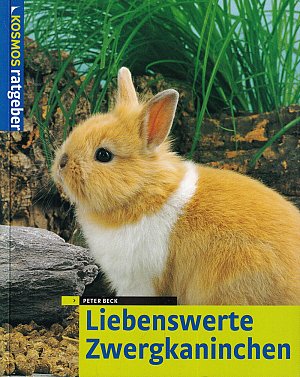 Liebenswerte Zwergkaninchen