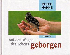 Auf den Wegen des Lebens geborgen