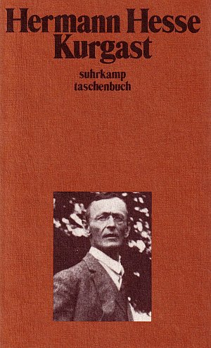 Kurgast - Aufzeichnungen von einer Badener Kur