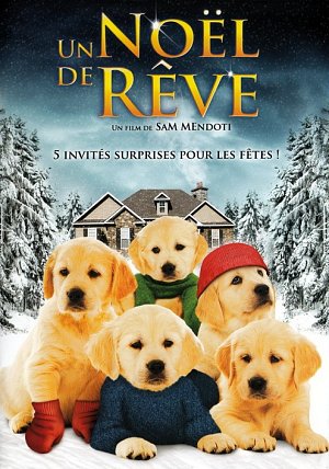 Un Noël de rêve [DVD]