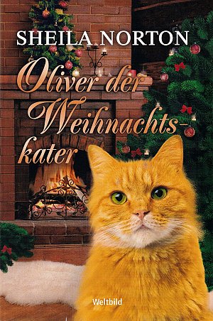 Oliver der Weihnachtskater