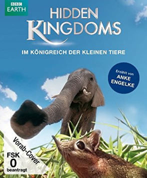 Hidden Kingdoms - Im Königreich der kleinen Tiere [Blu-ray]