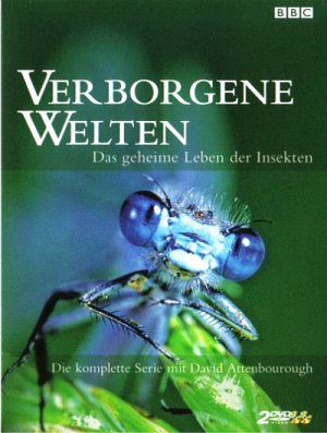 Verborgene Welten - Das geheime Leben der Insekten [DVD]
