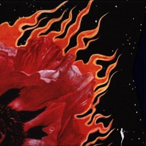 The Complete Bitches Brew Sessions [CD]