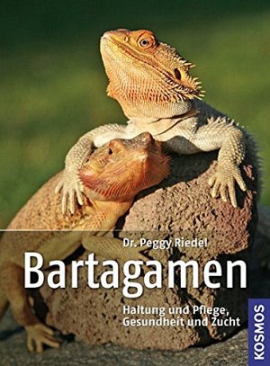 Bartagamen - Haltung und Pflege, Gesundheit und Zucht