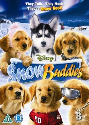 Les Copains des neiges [DVD]