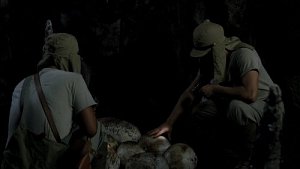 Mega-Raptor Vs. Humans [Blu-ray]