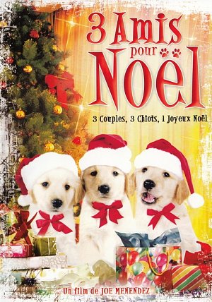 3 amis pour Noël [DVD]