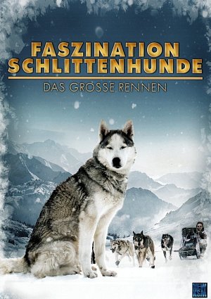 Faszination Schlittenhunde - Das Grosse Rennen [DVD]