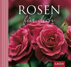 Rosen für dich