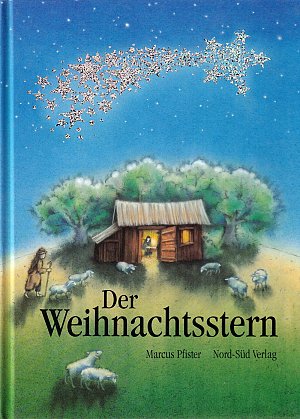 Der Weihnachtsstern