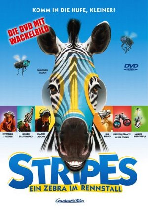 Stripes - Ein Zebra im Rennstall [DVD]